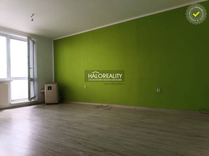 Studio apartment with laminate flooring and a green wall, large window, furnishings.