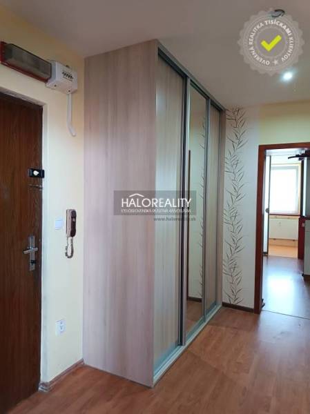 Studio apartment with a large mirrored wardrobe and wallpaper with a plant motif.