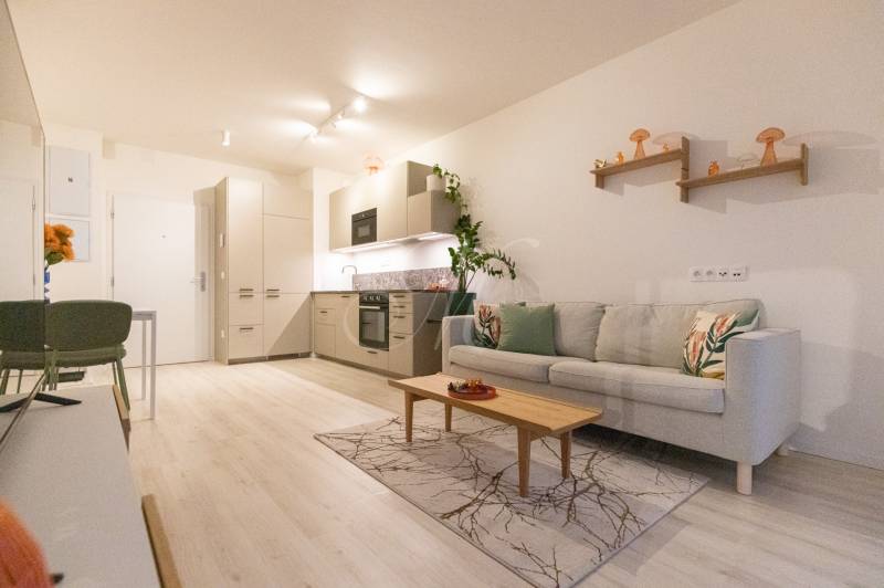 Living room in a studio apartment with a sofa, kitchenette, and wooden decor flooring.