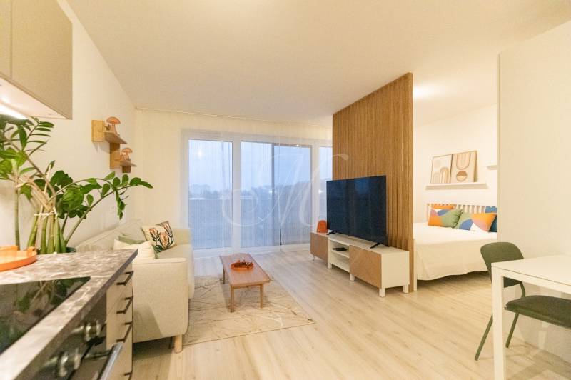 Interior of a 1-room apartment with a wooden decor floor and cozy seating.