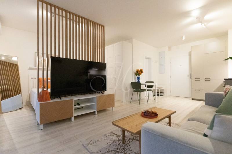 A bright living room in a studio apartment with a wooden partition and a TV, floor with a wooden decor.