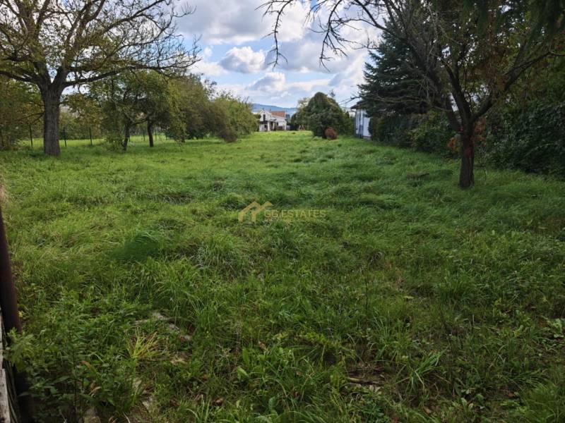 Greenery and trees on a residential plot on Malá Domaša Street, Vranov nad Topľou.