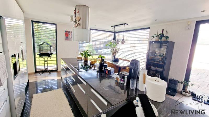 A kitchen in a family house with an island, plants, and a birdcage.