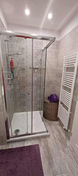 A bathroom in a 3-room apartment with a modern shower and a purple mat.