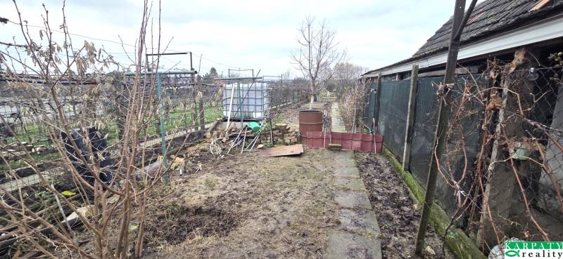 The garden of a family house in Dolné Orešany with a water tank and a container.