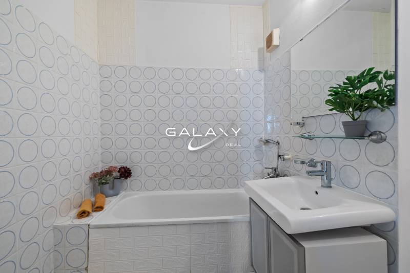 Bathroom with patterned tiles, a bathtub, and a plant in a studio apartment.