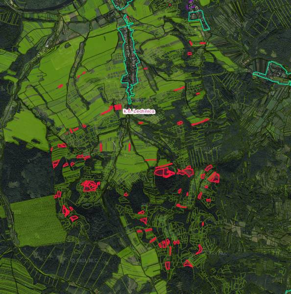 Aerial view of agricultural and forest lands around Lechnice, marked with colored lines.