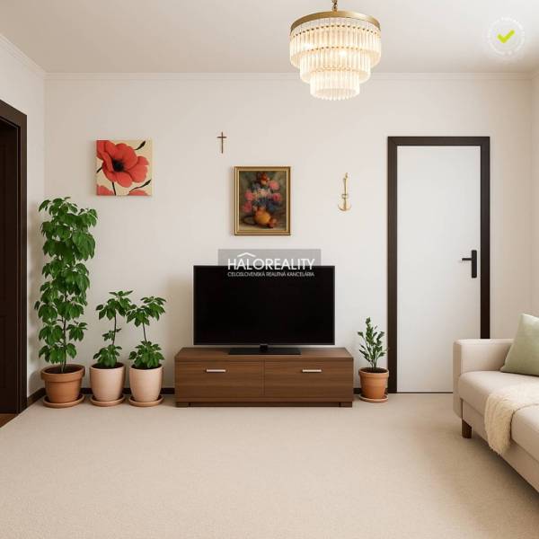 Living room in a family house with a television, houseplants, and decorations.