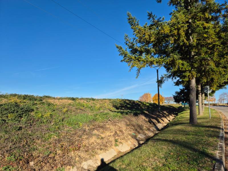 Plots - housing in the village of Velčice, grassy slope and trees along the road.