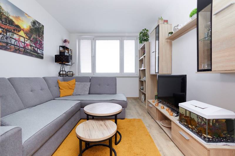 Living room with wood-patterned flooring, gray sofa, and furniture in a two-room apartment.