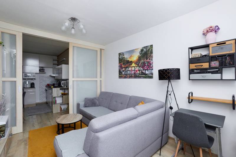 Living room in a two-room apartment with a wooden decor floor, gray sofa, and access to the kitchen.