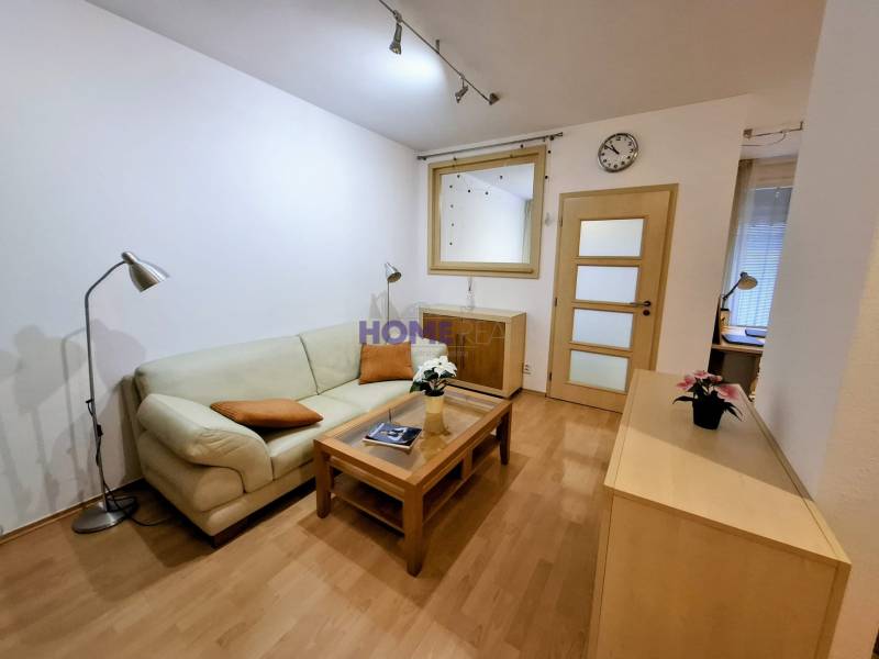 Living room in a two-room apartment with a sofa, lamp, and wooden decor flooring.