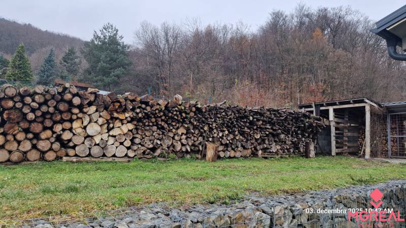 The garden at the family house in Sokol on Kopaninova Street with stored wood and the surrounding forest.