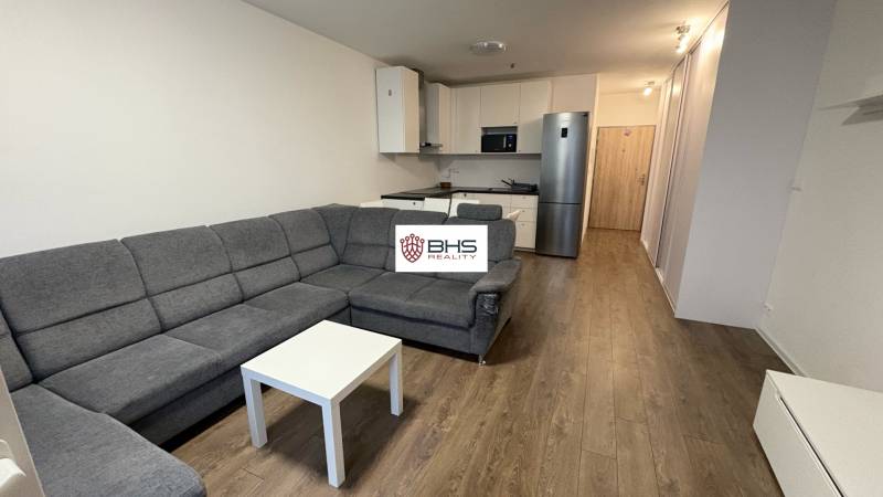 Stylish kitchen and living area with a comfortable sofa, floor with wooden decor.