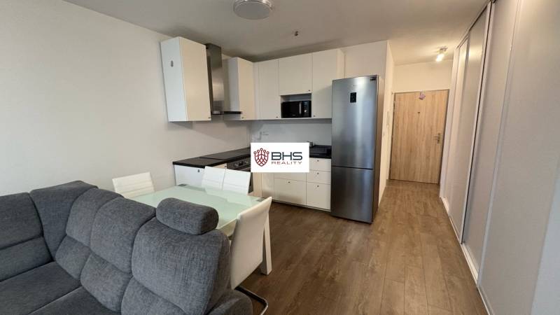 Living room with kitchen, sofa, and wooden decor flooring in a studio apartment.