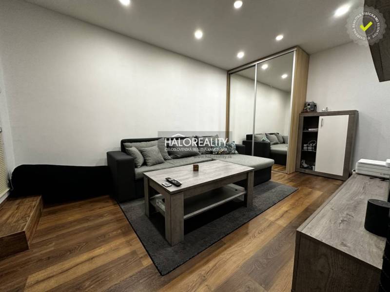 Living room in a one-bedroom apartment with wood-patterned flooring, a gray sofa, and a mirrored wardrobe.