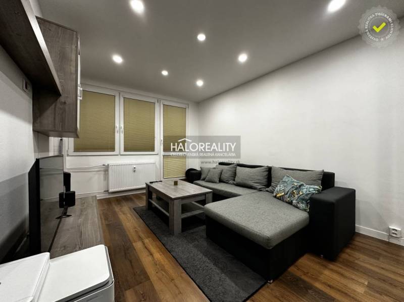 Living room in a studio apartment with wood-patterned flooring and a sofa.