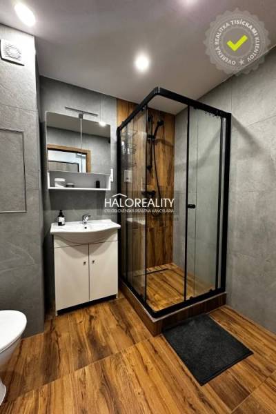 Bathroom in a studio apartment with wood-patterned flooring and a shower corner.