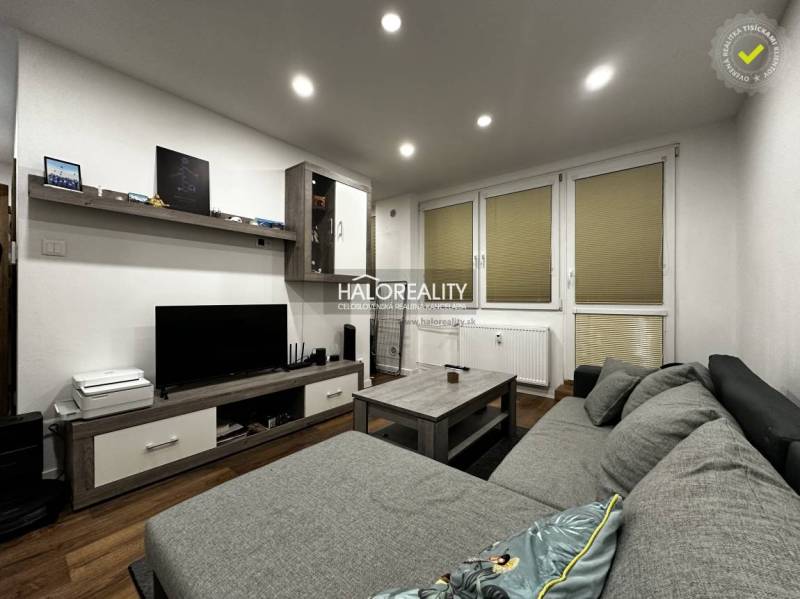 Living room in a studio apartment with a sofa and wood-patterned flooring.