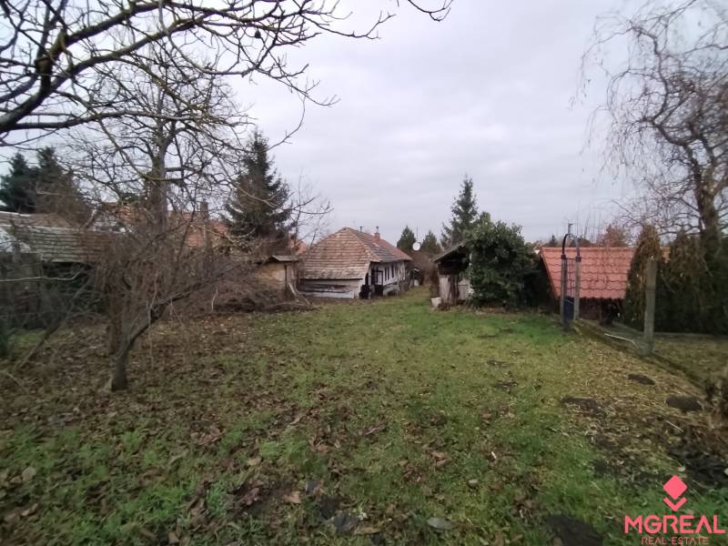A garden at a family house in Dolný Pial with a lawn and fruit trees.
