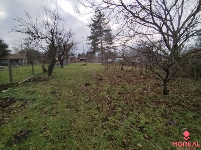 The garden at the family house in Dolný Pial with dried trees and a lawn in autumn.