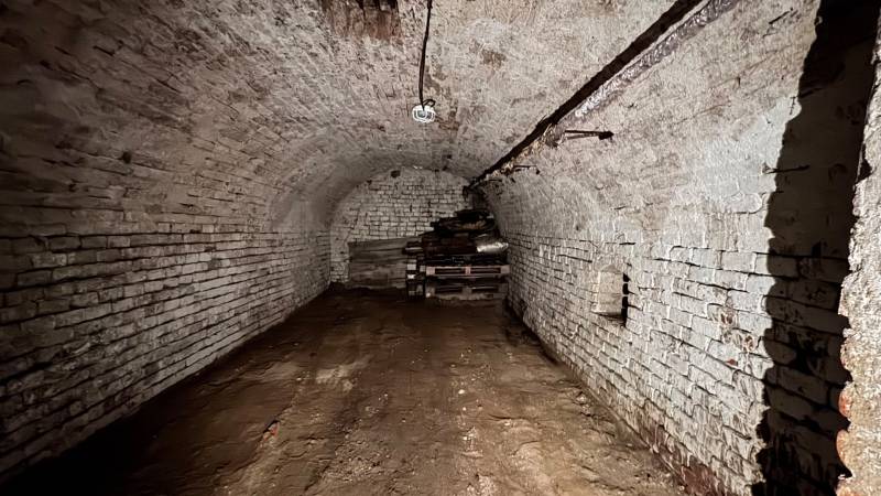 Brick cellar in a family house with stored wood.