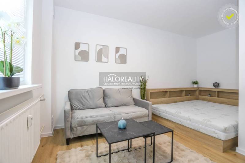 Interior of a 1-room apartment with a sofa, bed, and wooden decor flooring.