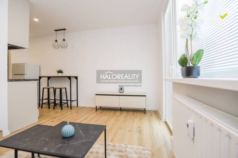 A bright room with a wood-patterned floor, a table, and decorations in a studio apartment.