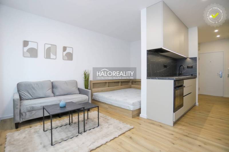 1-bedroom apartment with a kitchenette, gray sofa, and wood-patterned flooring.