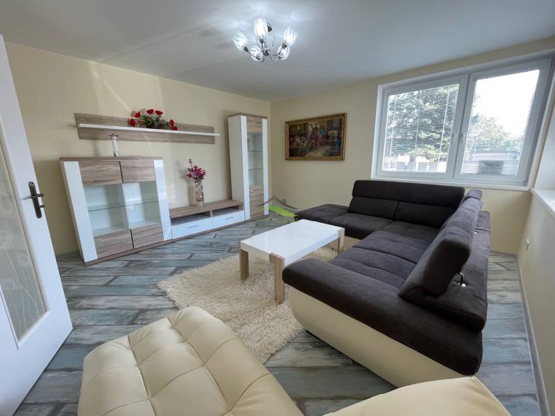 Living room in a family house with a sofa, display cabinets, and a floor with a wooden decor.