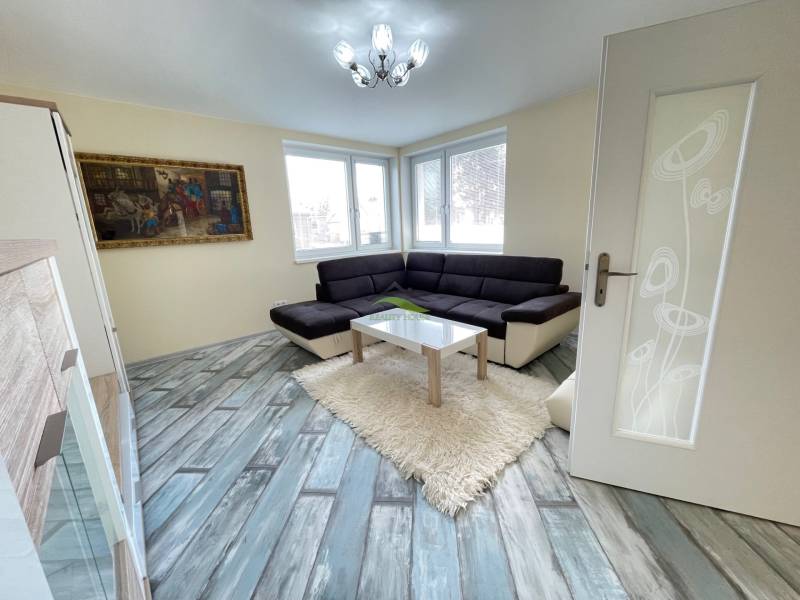 Living room in a family house with a sofa, carpet, and wooden decor flooring.