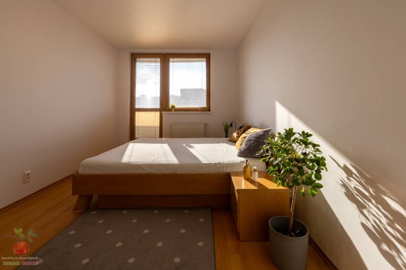 Bedroom with a bed, carpet, plant, wooden furniture, floor with wooden decor in a 3-room apartment.