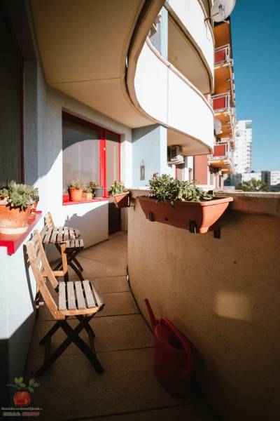A balcony of a 3-room apartment with folding chairs and potted plants.