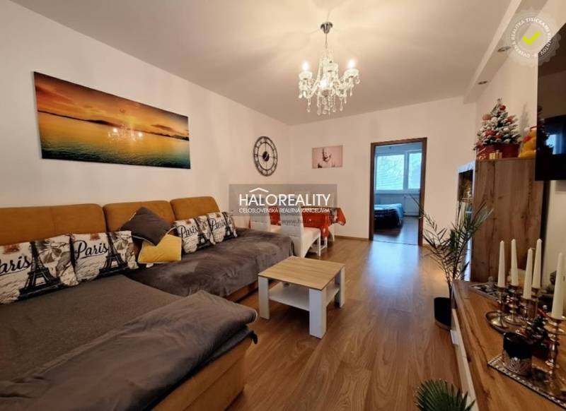 Living room in a three-room apartment with a sofa and a wooden decor floor.