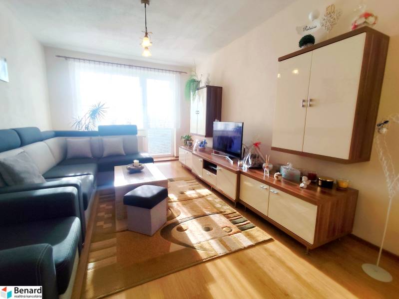 Living room in a 3-room apartment with a sofa, TV, and wooden decor flooring.