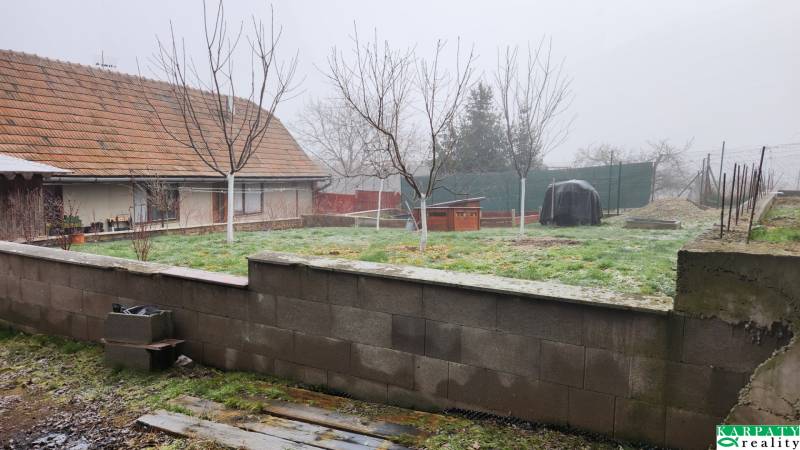 The garden of a family house in Brestovany, a low fence, several trees, and a grassy area.