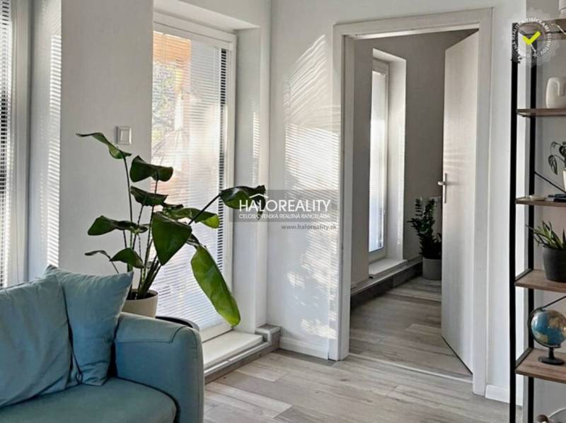 A bright living room with green plants and a wooden decor floor, 4-room apartment.