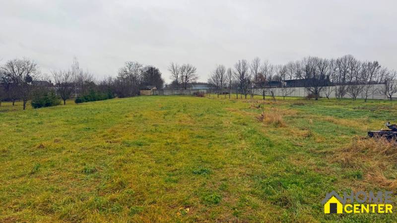 A spacious grassy plot for living in Pribeta with a view of trees and shrubs.