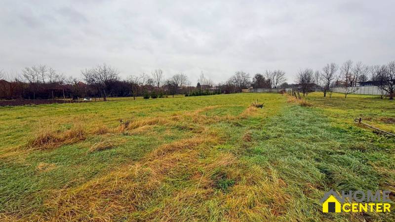 Extensive plots suitable for living in Pribeta, surrounded by trees, are waiting for new use.