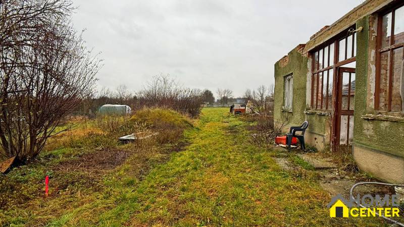 Overgrown residential plot in Pribeta with a dilapidated building and natural elements.