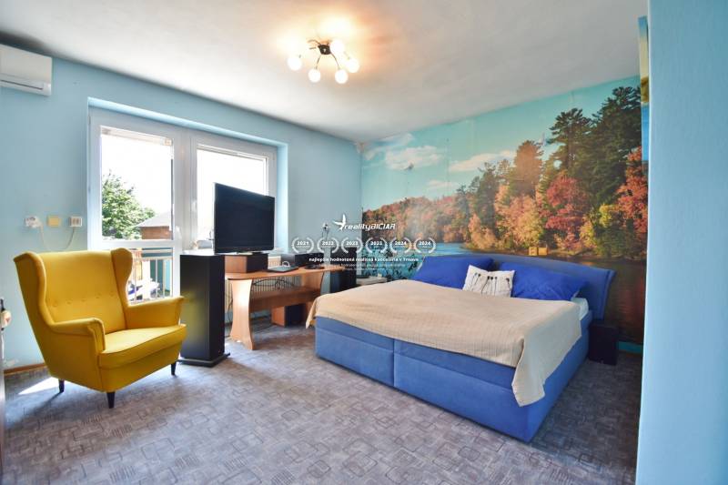 A bedroom in a family house with a blue wall, a yellow chair, and a forest wallpaper.