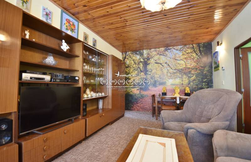 Living room in a family house with a wooden ceiling, carpeted floor, and a painting of a forest on the wall.