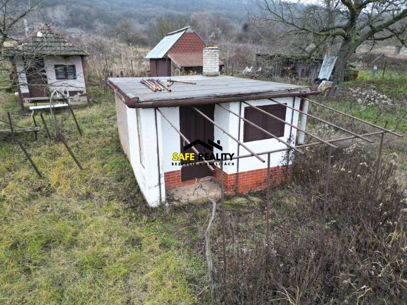 A vineyard in Nán with a small cottage surrounded by grass and trees in the background.