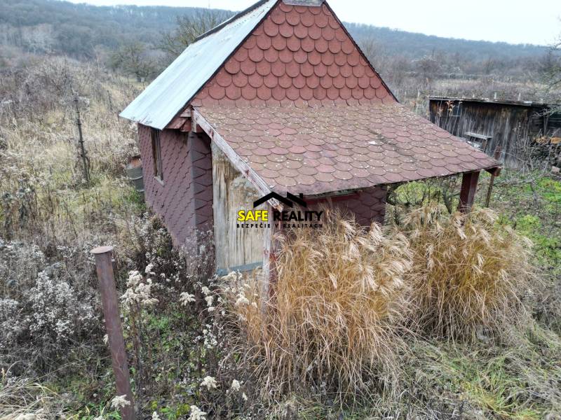 A cottage in overgrown vineyards near Nána, surrounded by nature and vegetation.