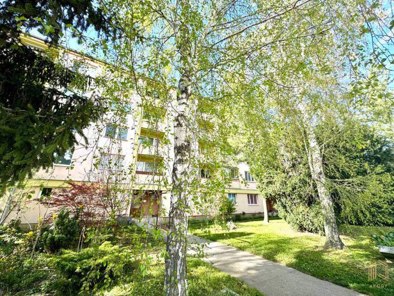 An apartment building on Palárikova Street in Senica surrounded by greenery and trees.