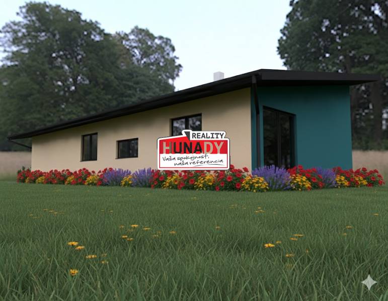A family house in Spišské Tomášovce, flowers in the garden, simple architecture, grass and trees.