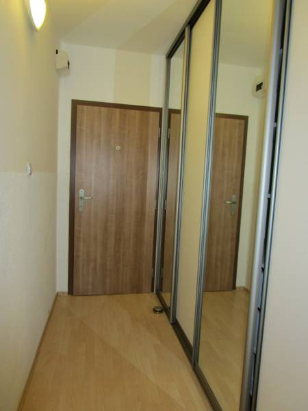 A hallway in a 2-room apartment with a wooden decor floor and a built-in wardrobe.