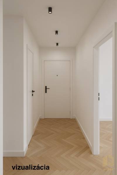A hallway in a 2-room apartment with a wooden decor floor and white walls.