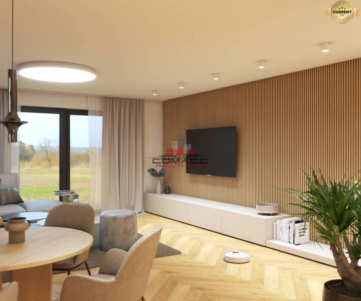 Living room in a family house with wood-patterned flooring, a television, and a plant.