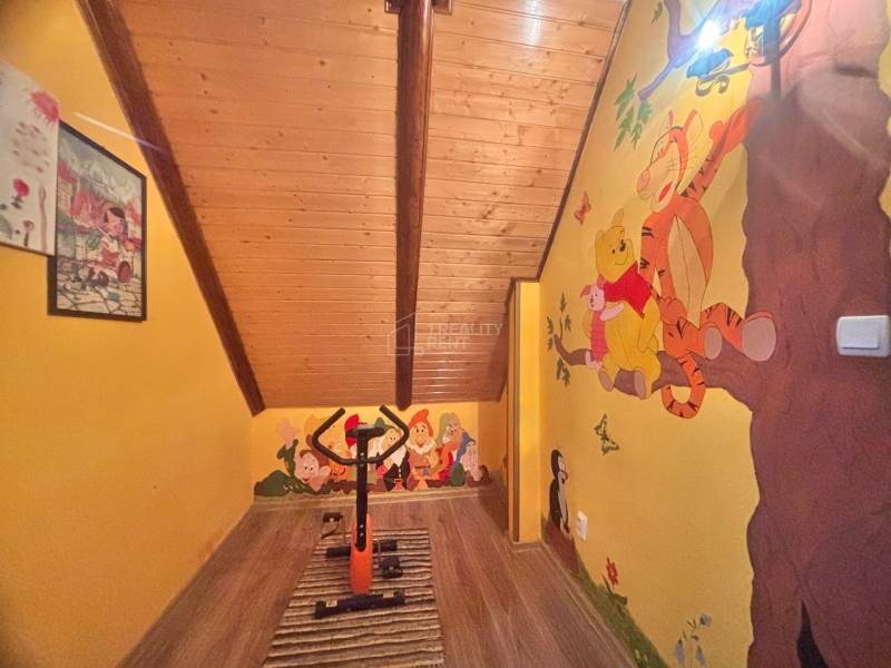 The attic of a family house with wooden decor and a children's painting featuring Disney characters.